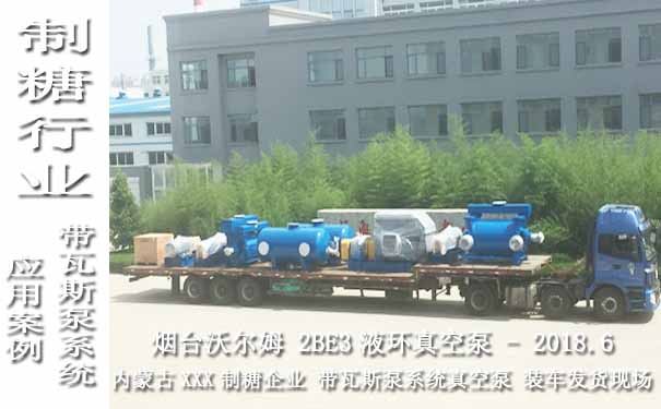2018.6内蒙古某制糖企业带瓦斯泵系统的2BE3液环真空泵案例